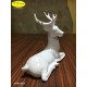 DEER SAT - cm.21 X 10