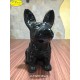 CANE CARLINO BLACK - CM.21X18