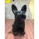 CANE CARLINO BLACK - CM.21X18